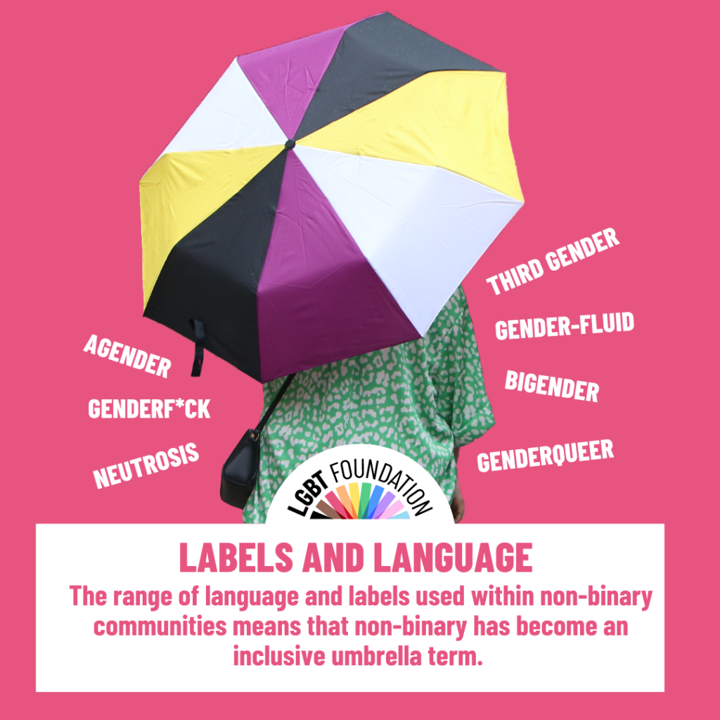 A person is stood with a non-bonary flag coloured umbrella. Below the umbrella are the terms "third-gender" "Agender" "Bigender" "Gender-fluid" "Genderqueer" "Neutrosis"